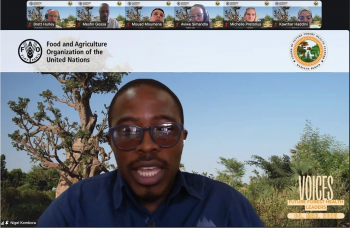 FABIans participate in FAO webinar on career paths in forest health